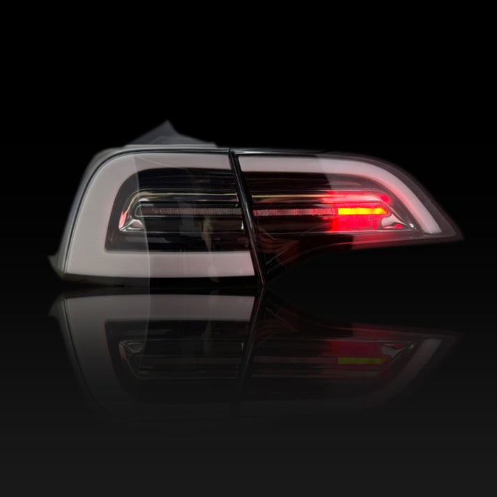 Reverse and Fog Lights